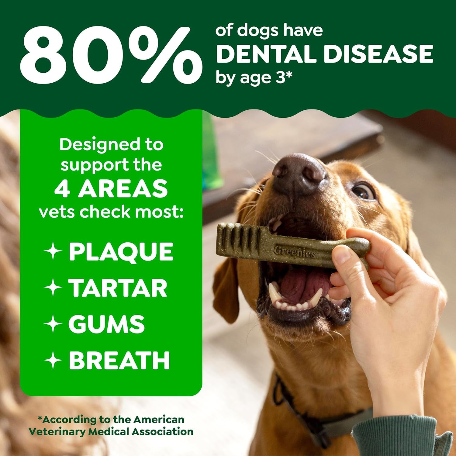 Greenies Veterinarian-Recommended Adult Natural Dental Dog Treats Petite Size, Dog Dental Chews, Original Flavor, 36 Oz. Pack, 60 Count
