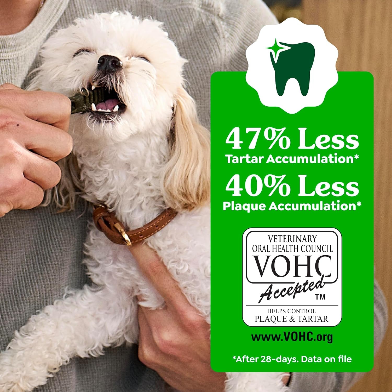 Greenies Veterinarian-Recommended Adult Natural Dental Dog Treats Petite Size, Dog Dental Chews, Original Flavor, 36 Oz. Pack, 60 Count