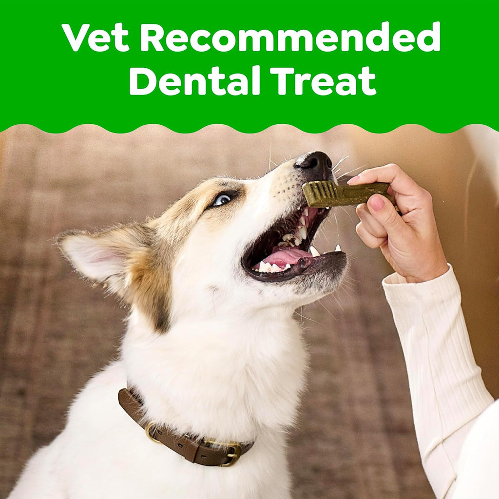 Greenies Veterinarian-Recommended Adult Natural Dental Dog Treats Petite Size, Dog Dental Chews, Original Flavor, 36 Oz. Pack, 60 Count