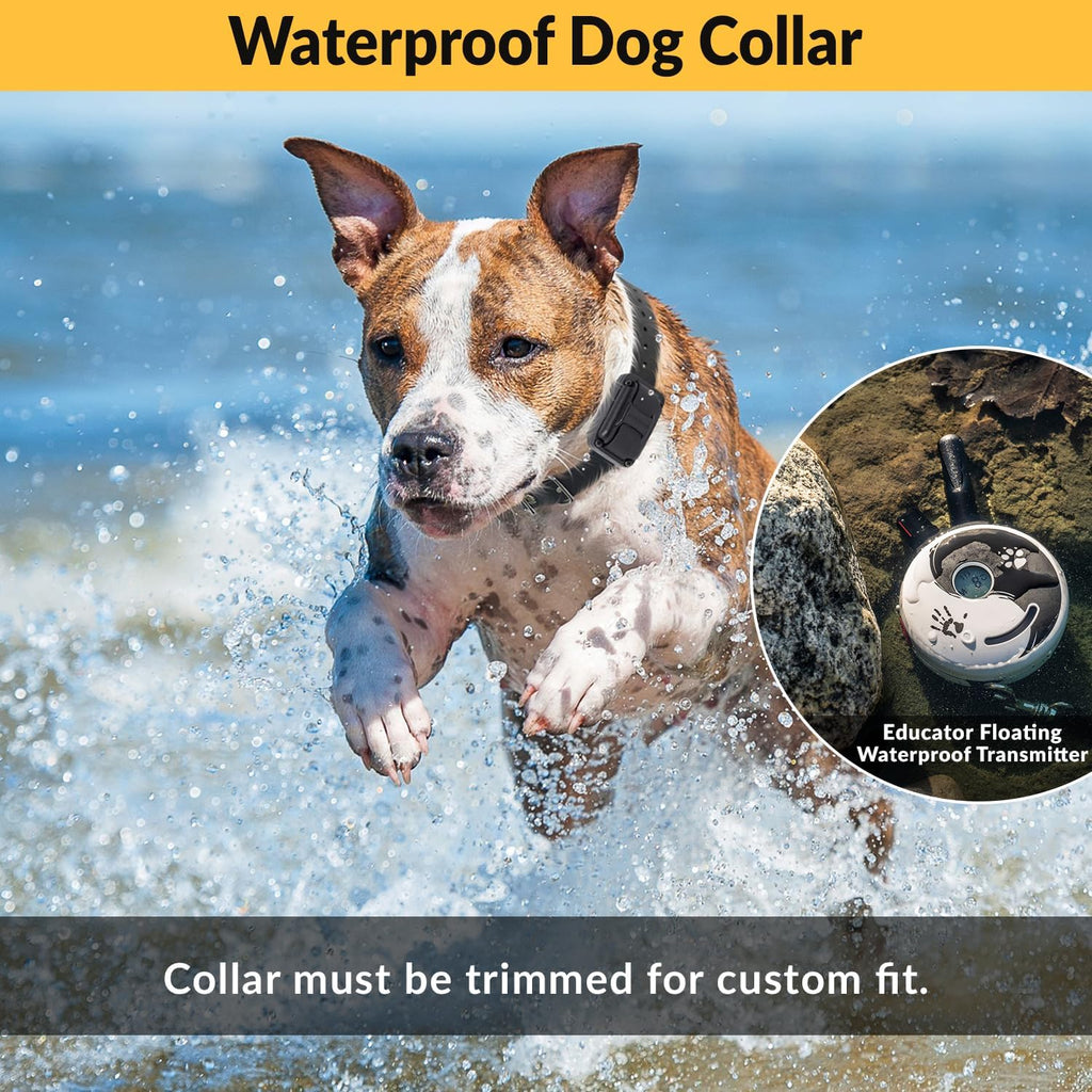 E-Collar Mini  ET-300 Remote Dog Training Collar – 1/2 Mile Range, Waterproof & Rechargeable, 100 Levels + Vibration + Tone + Light, for 1 Dog Small to Medium, Zen